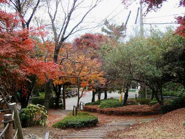 b0008825_11401840.jpg