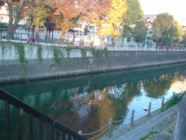 e0016828_22312156.jpg