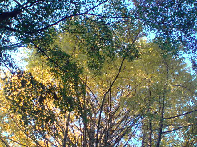 e0016828_2234268.jpg