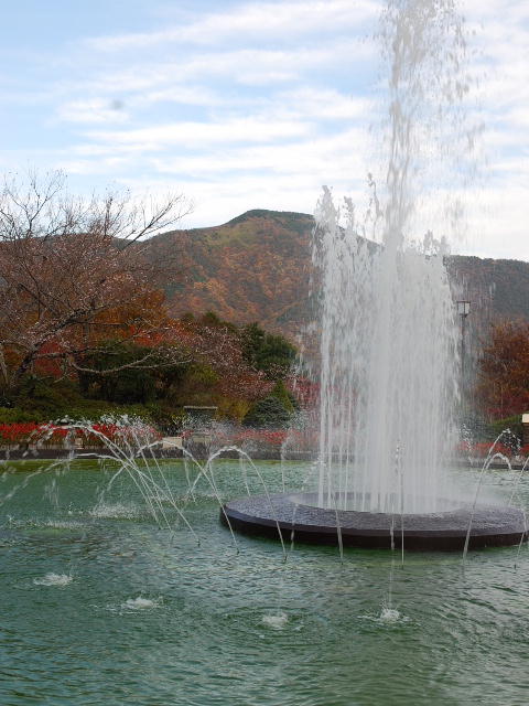 d0077035_1511222.jpg