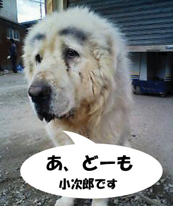 f0008935_6131482.gif