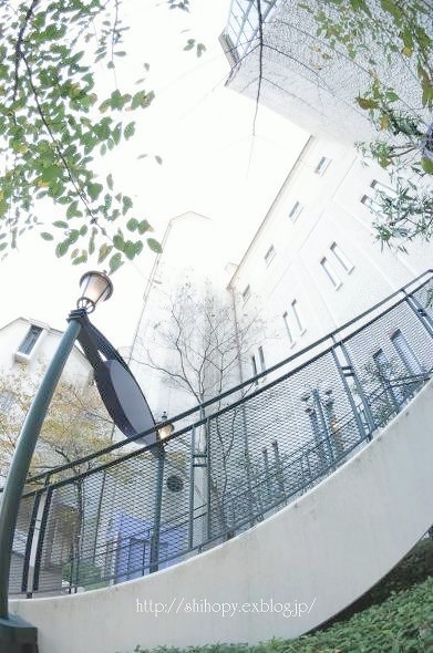 e0011137_1394890.jpg