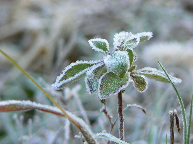 e0083238_2034172.jpg
