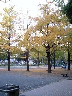 e0067640_16281666.jpg