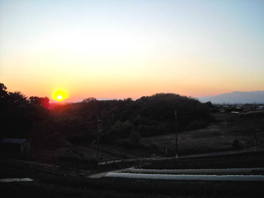 f0183141_2313040.jpg