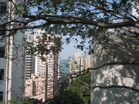 e0018143_15301973.jpg