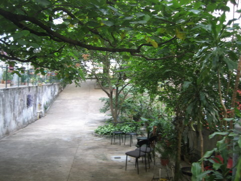 e0018143_15334526.jpg