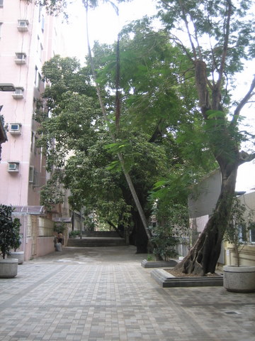 e0018143_15413816.jpg