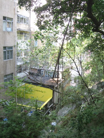 e0018143_15421123.jpg
