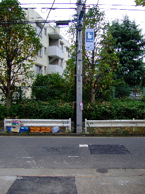 b0158956_1384868.jpg