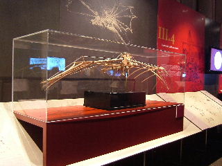 b0059565_103438100.jpg
