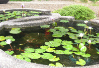 b0051666_15283250.jpg
