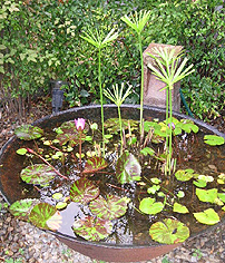 b0051666_15314442.jpg