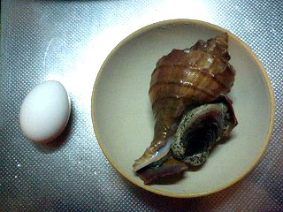 f0099367_155284.jpg
