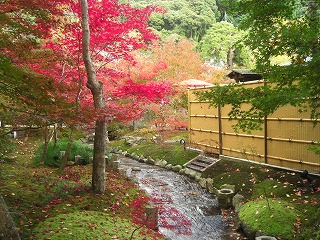 f0032872_144445.jpg