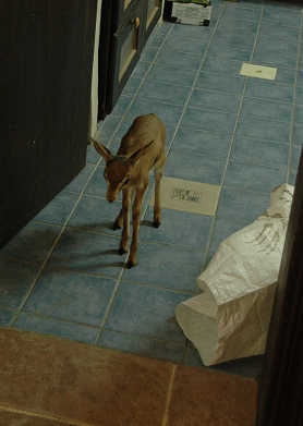 e0066474_22173776.jpg