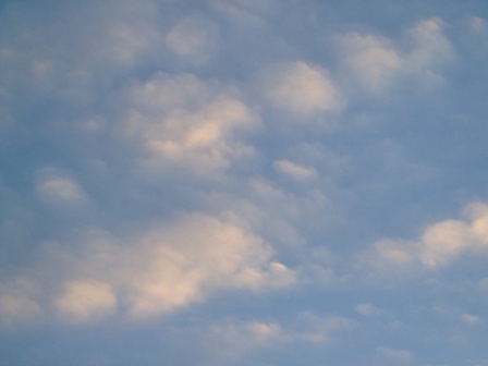 c0078480_034794.jpg