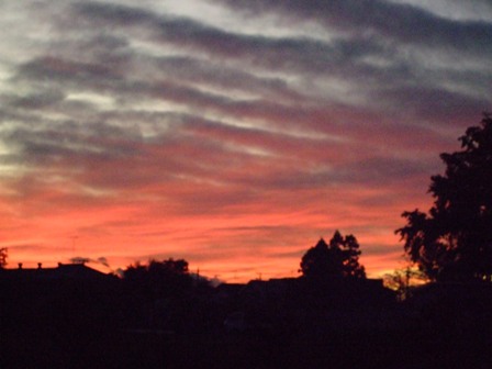 c0078480_0354780.jpg