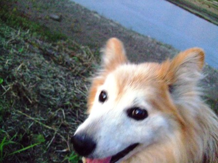 c0078480_0381666.jpg