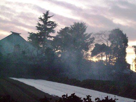c0078480_0462850.jpg
