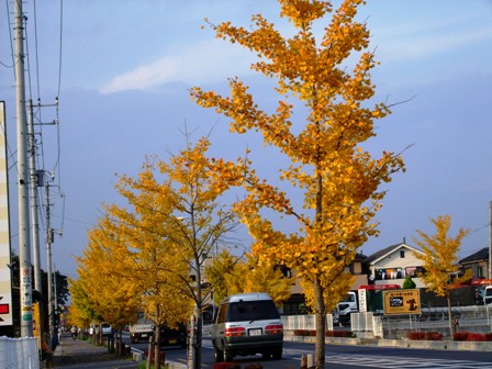 c0078480_065644.jpg