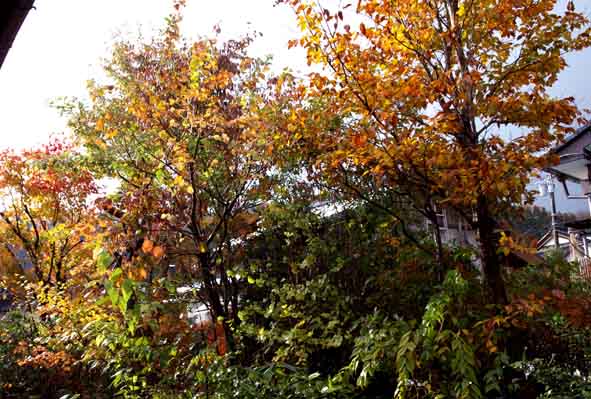 d0088788_1414161.jpg