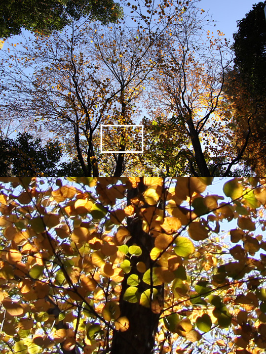 b0067789_702170.jpg