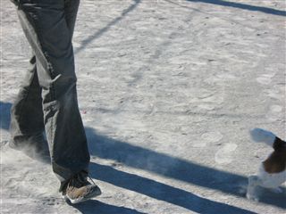 e0121589_22193098.jpg