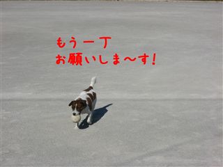 e0121589_22231025.jpg