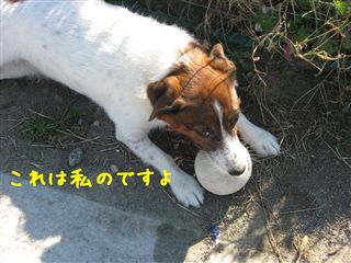 e0121589_22285378.jpg