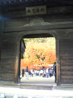 c0109891_21281834.jpg