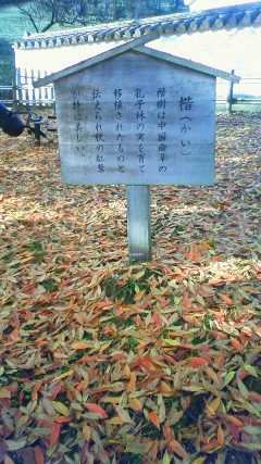 c0109891_21285159.jpg
