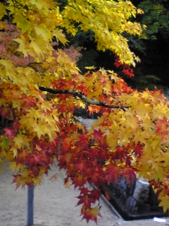 c0109891_21294689.jpg
