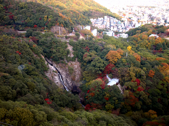 c0177502_22101737.jpg