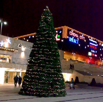 f0021504_3515263.jpg