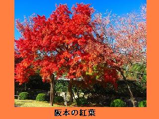 f0150804_18411111.jpg