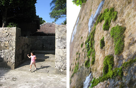 d0080906_6481062.jpg