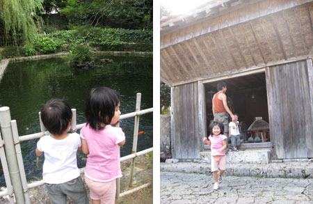 d0080906_6483493.jpg