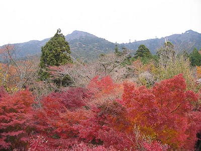 f0162309_22341954.jpg