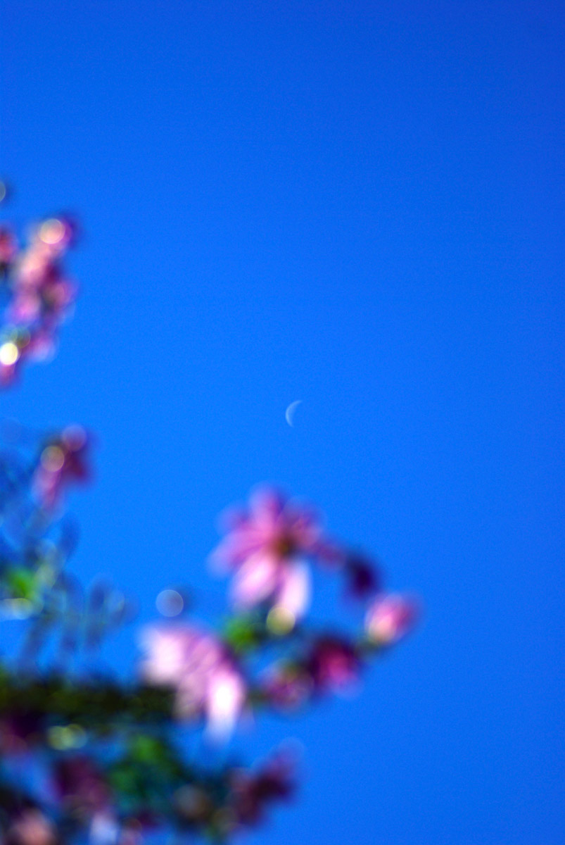 e0142611_12281152.jpg