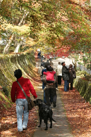 a0090313_20523760.jpg