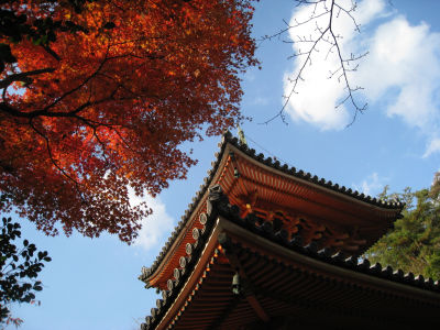 c0175715_973381.jpg