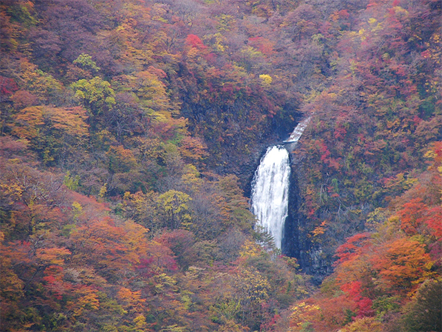 f0107517_21392161.jpg