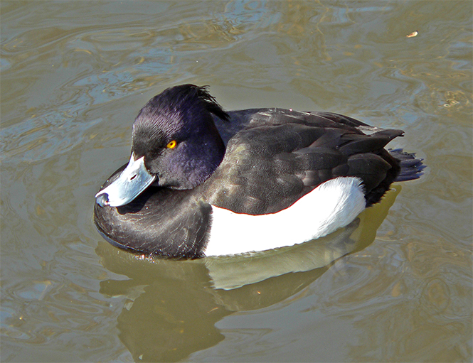 f0107517_21472057.jpg