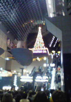 c0156018_17463053.jpg