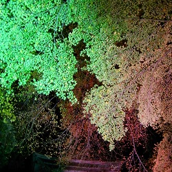 c0094621_23115983.jpg