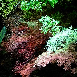 c0094621_23121187.jpg