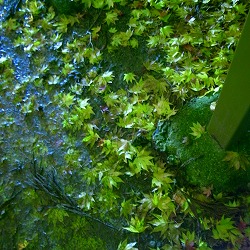 c0094621_23133451.jpg