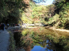 f0022024_16575327.jpg