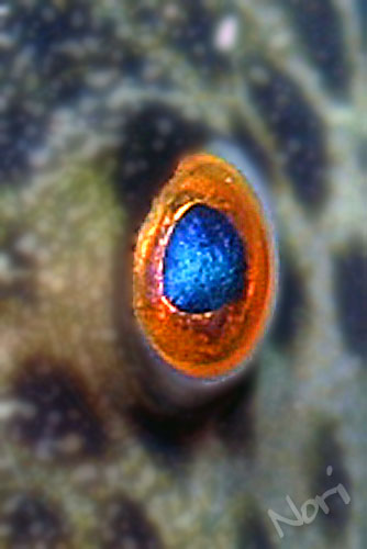 b0044726_916690.jpg